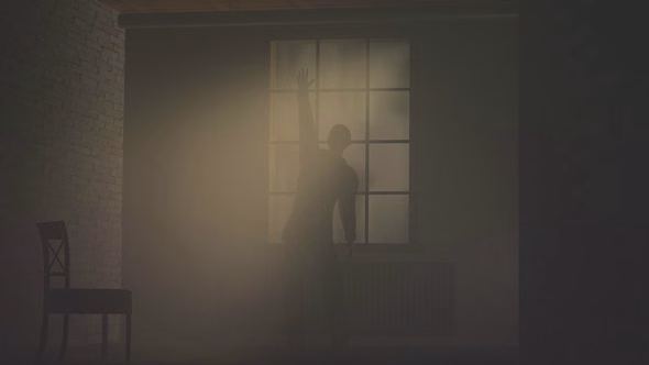 Video still from Windows